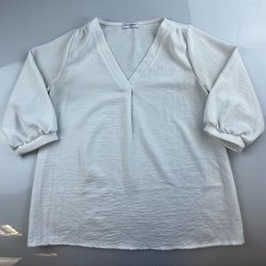 Petite Assembly V Neck Blouse S90-28